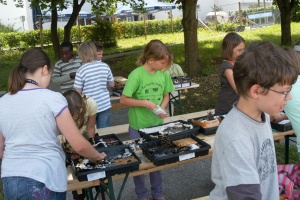 Der Traumgarten in der Kiste