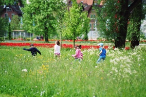 Bewegung im Grünen