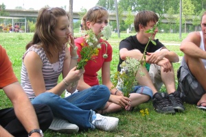 Wildblumen