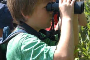 kleine Entdecker