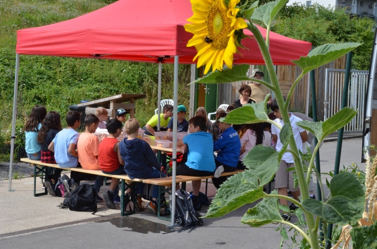 Bild: Das Bild zeigt eine Gruppe von Kindern, die unter einem roten Pavillon sitzen. Die Kinder sitzen auf langen Holzsitzbänken um einen Tisch, auf dem Materialien verteilt sind. Im Vordergrund ragt eine große Sonnenblume ins Bild.