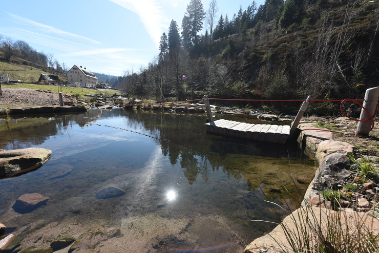 Bild: Das Bild zeigt einen Teich umgeben vom Schwarzwald und links im Hintergrund ein Haus. Am Teich ist ein Flossn mit einem Zugseil zur Überquerung des Teiches